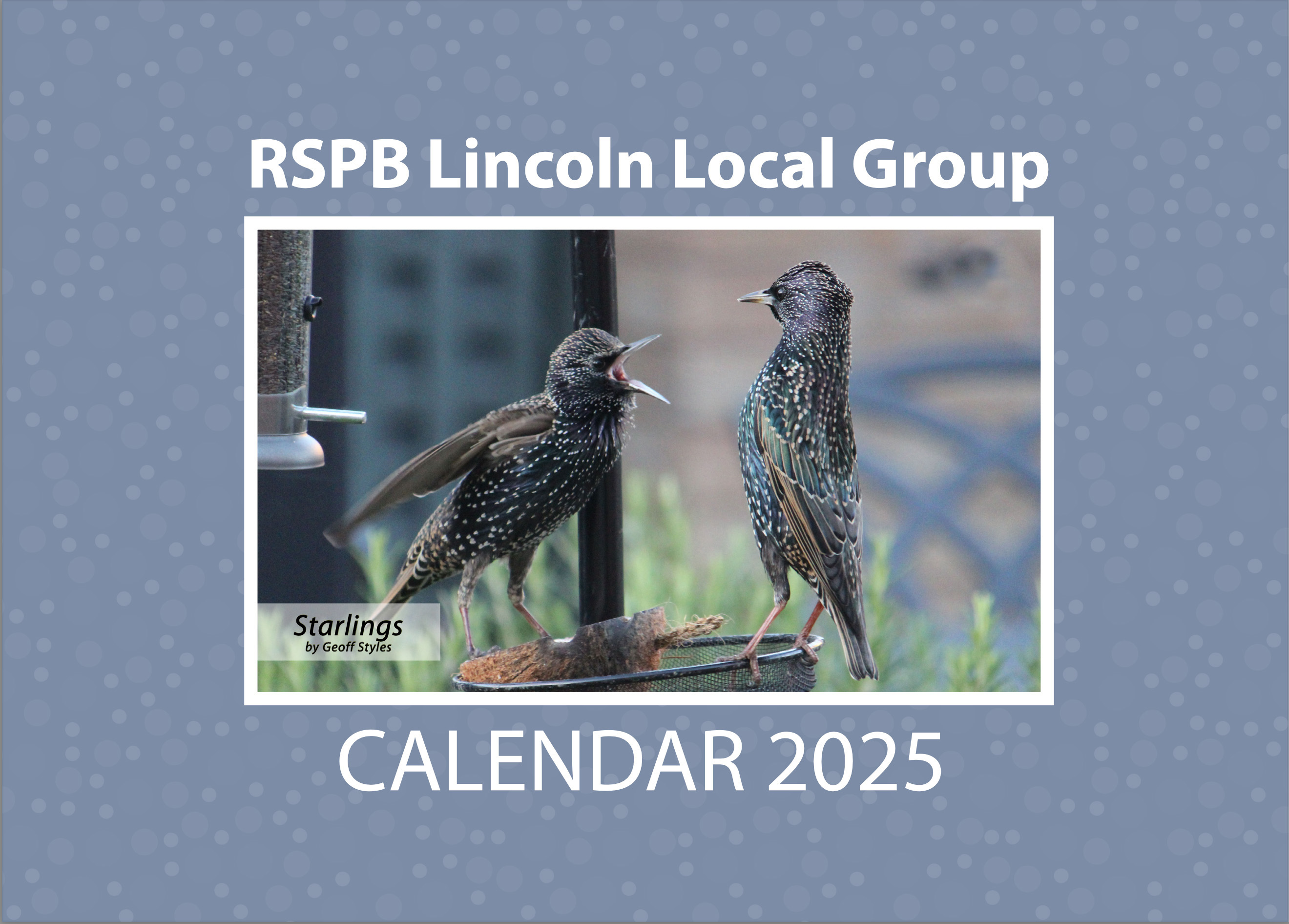 2025 Calendar