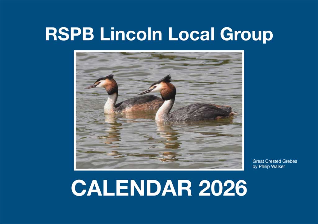 2026 Calendar